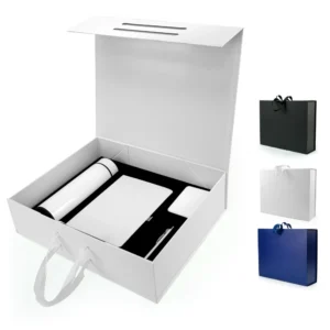 Corporate Office Gift Set in Color Themed Box with Ribbon Handle